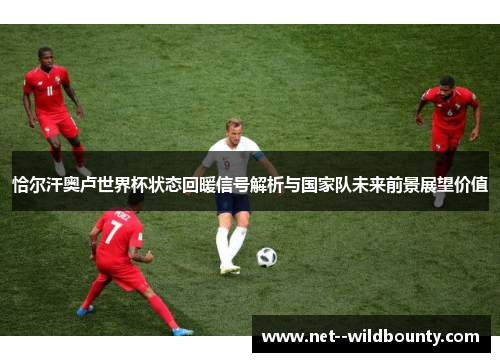 恰尔汗奥卢世界杯状态回暖信号解析与国家队未来前景展望价值 恰尔汗奥卢世界杯状态回暖信号解析与国家队未来前景展望价值