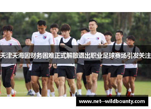 天津天海因财务困难正式解散退出职业足球赛场引发关注