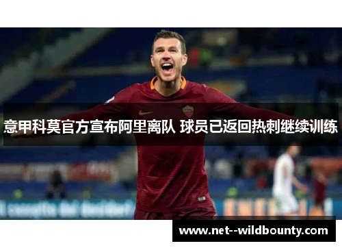 意甲科莫官方宣布阿里离队 球员已返回热刺继续训练